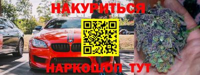 прущие грибы Гагарин
