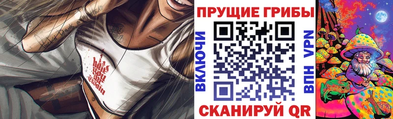 Псилоцибиновые грибы мицелий  купить   Прокопьевск 