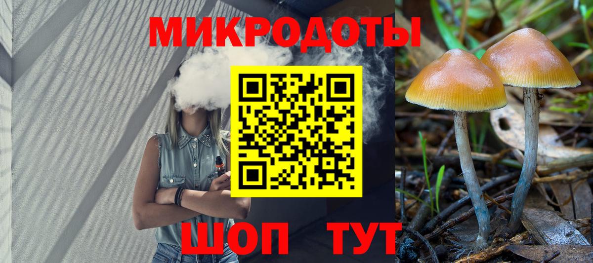 Прокопьевск  Галлюциногенные грибы Psilocybine cubensis  Вход с VPN 